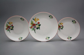 Plate set Coup Freesia 12-piece CCL