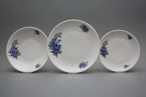 Plate set Coup Forget-me-not 36-piece CBB