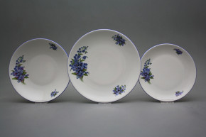 Plate set Coup Forget-me-not 36-piece CAL