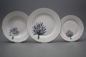 Plate set Rose Lavender 12-piece HFL