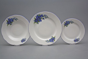 Plate set Rose Forget-me-not 36-piece DAL