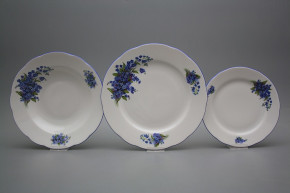 Plate set Rose Forget-me-not 36-piece CAL