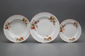 Plate set Ofelia Strawberries 36-piece CCL