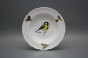 Plate set Ofelia Bird world 12-piece GBB č.11