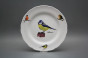 Plate set Ofelia Bird world 12-piece GBB č.18