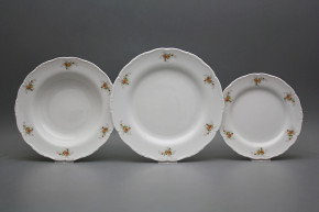 Plate set Ofelia Tea roses S/S 36-piece ABB
