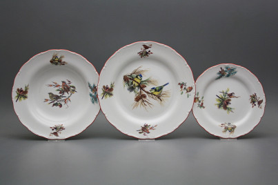 Plate set Ofelia Birds without butterflies 12-piece GCL č.1