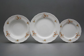 Plate set Ofelia Tea roses S/M 12-piece ABB