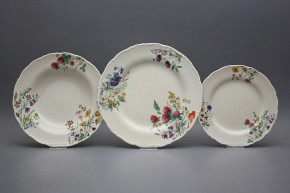 Plate set Ofelia Ivory Flowering meadow 12-piece CBB