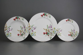 Plate set Nina Flowering meadow Motive C 12-piece CBB