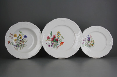 Plate set Marie Louise Flowering meadow 12-piece HBB č.1
