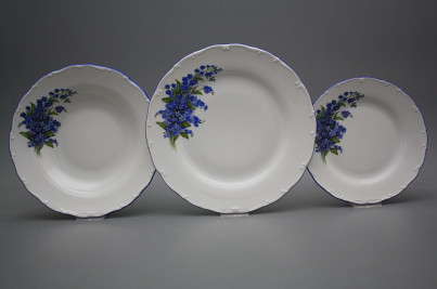 Plate set Ofelia Forget-me-not 36-piece HAL č.1