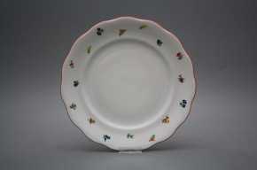Flat plate 24cm Alaska Sprays ACL