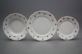 Plate set Alaska Sprays 18-piece ACL