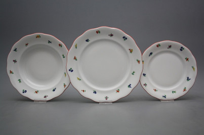 Plate set Alaska Sprays 18-piece ACL č.1