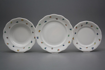 Plate set Alaska Sprays 36-piece ABB č.1