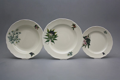 Plate set Rokoko ECRU Herbs 36-piece CBB č.1