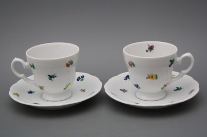 Coffee cup 0,2l and saucer Alaska Sprays BB č.1