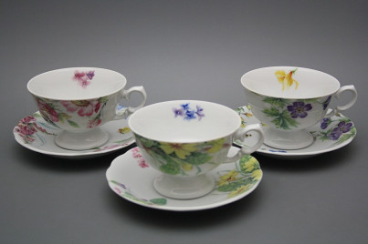 Tea cup 0,2l with saucer Alaska Country BB č.1