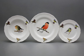 Plate set Ofelia Bird world 18-piece GBB