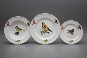 Plate set Ofelia Bird world 24-piece GBB