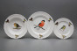 Plate set Ofelia Bird world 24-piece GBB č.2
