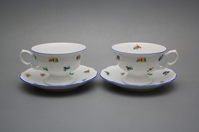 Tea cup 0,2l with saucer Alaska Sprays AL č.1