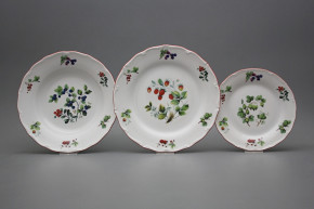 Plate set Verona Forest berries 36-piece FCL