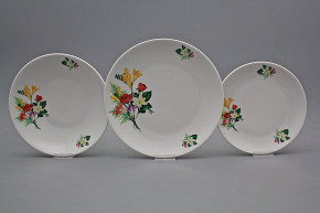 Plate set Coup Freesia 24-piece CBB