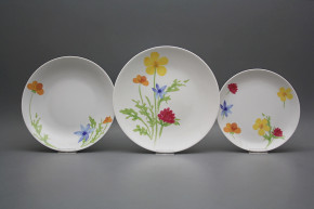 Plate set Coup Summer Day 12-piece BB
