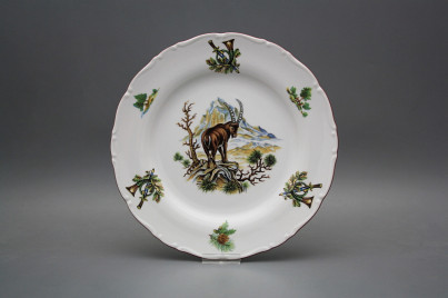 Flat plate 25cm Ofelia Ibex FHL č.1