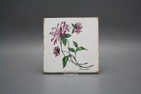 Set of tiles Forli Blanco 15x15cm Herbs 6-piece