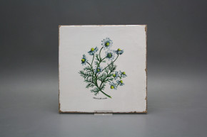 Set of tiles Forli Blanco 20x20cm Herbs 6-piece