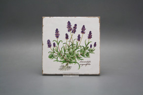 Set of tiles Forli Blanco 15x15cm Herbs Classic 6-piece