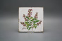 Set of tiles Forli Blanco 15x15cm Herbs Classic 6-piece č.6