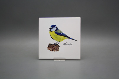 Tile COLOR ONE 15x15cm Blue tit WL č.1