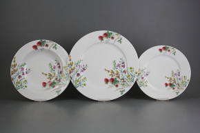 Plate set Nina Flowering meadow Pattern C 12-piece CBB