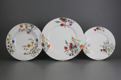 Plate set Nina Flowering meadow 36-piece CBB č.1