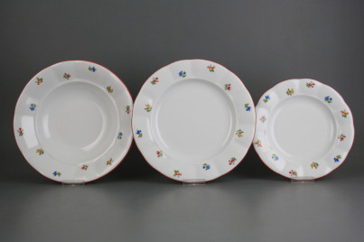 Plate set Benedikt Flower sprays 24-piece ACL č.1