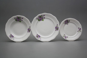 Plate set Alaska Violets 36-piece CBB