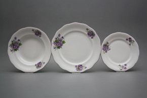 Plate set Alaska Violets 36-piece CFL