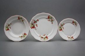 Plate set Alaska Strawberries 24-piece CCL
