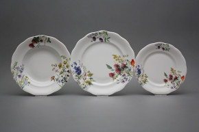 Plate set Alaska Flowering meadow 24-piece CBB