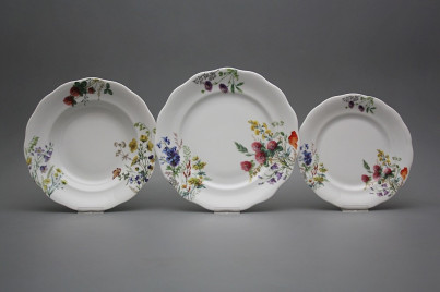 Plate set Alaska Flowering meadow 24-piece CBB č.1