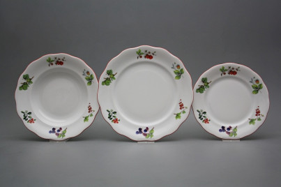 Plate set Alaska Forest berries 18-piece ACL č.1