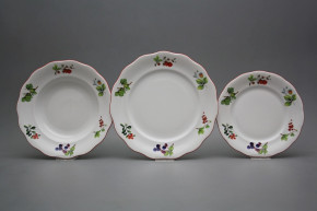 Plate set Alaska Forest berries 36-piece ACL