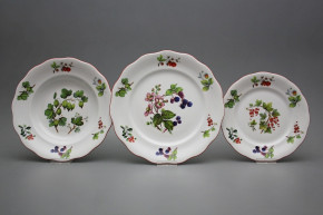 Plate set Alaska Forest berries 36-piece FCL