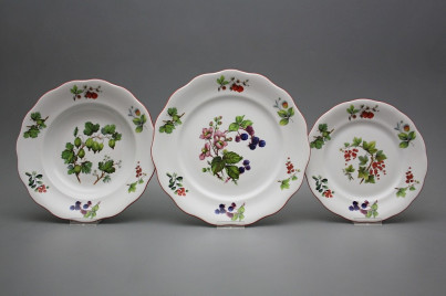 Plate set Alaska Forest berries 36-piece FCL č.1