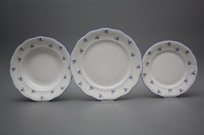 Plate set Alaska Forget-me-not Sprays 24-piece AAL