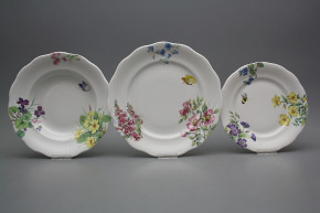 Plate set Alaska Country 36-piece BB